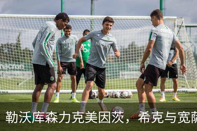 勒沃库森力克美因茨，希克与宽萨闪耀，卡奇双响成焦点